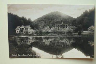 Postcard PC Bergzabern 1905-1915 Hotels Houses Town architecture Rheinland Pfalz